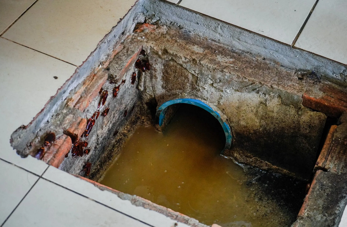 grease trap cleaning